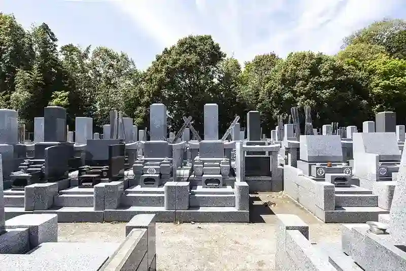 墓域②