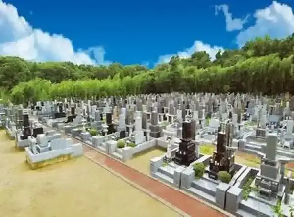 全景