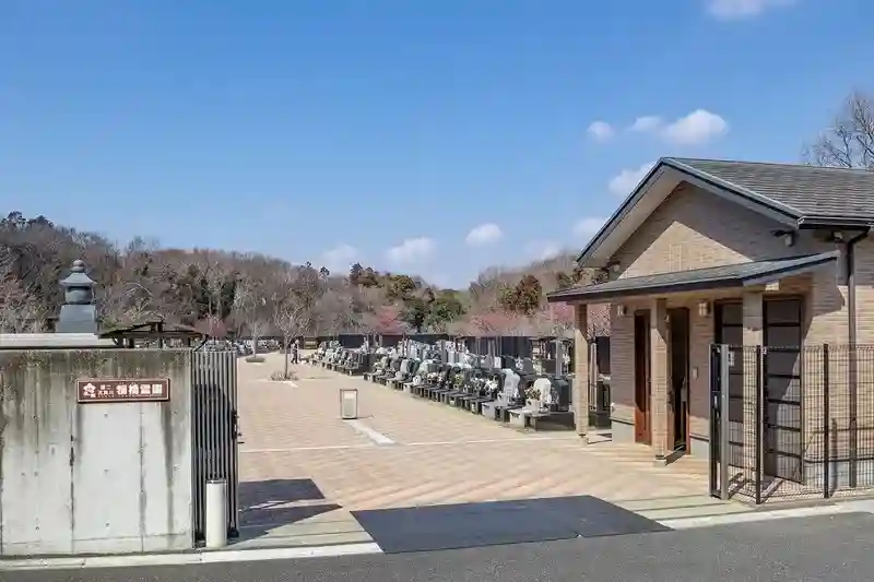 入口