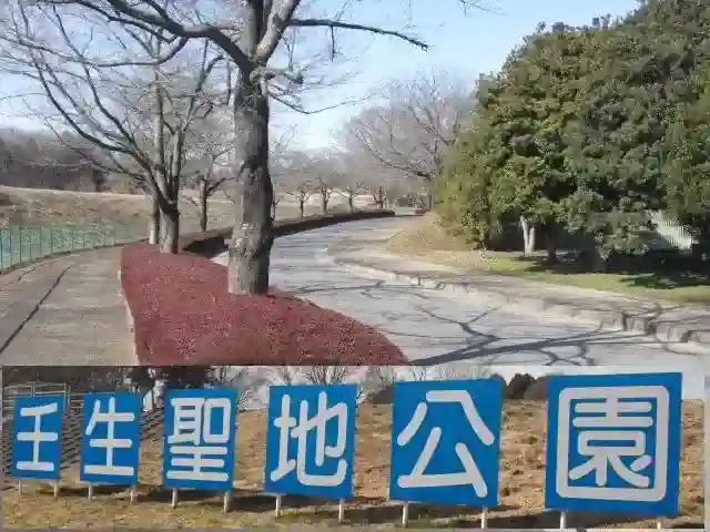 入口