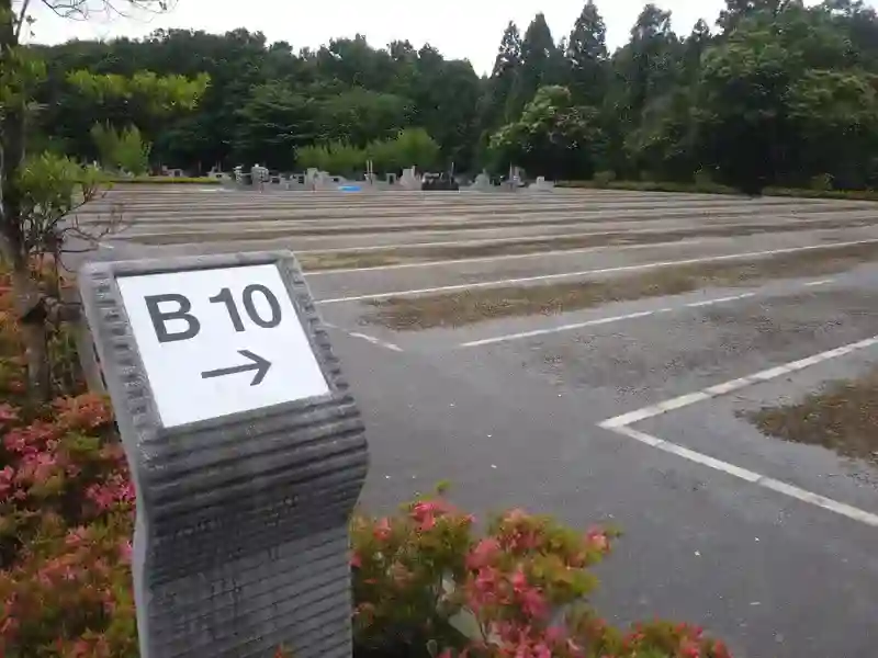 墓地