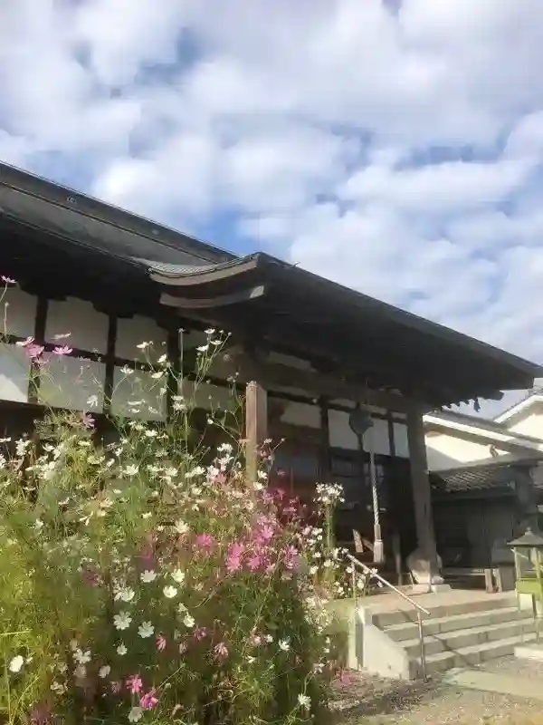本堂×コスモス