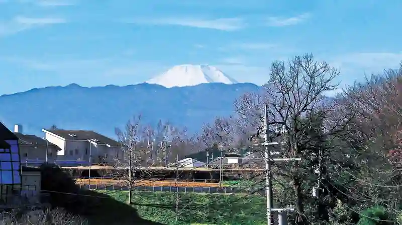 晴れた日には園内から富士山が見えます。