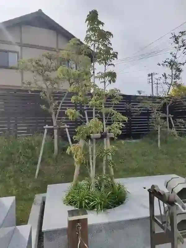 合祀墓