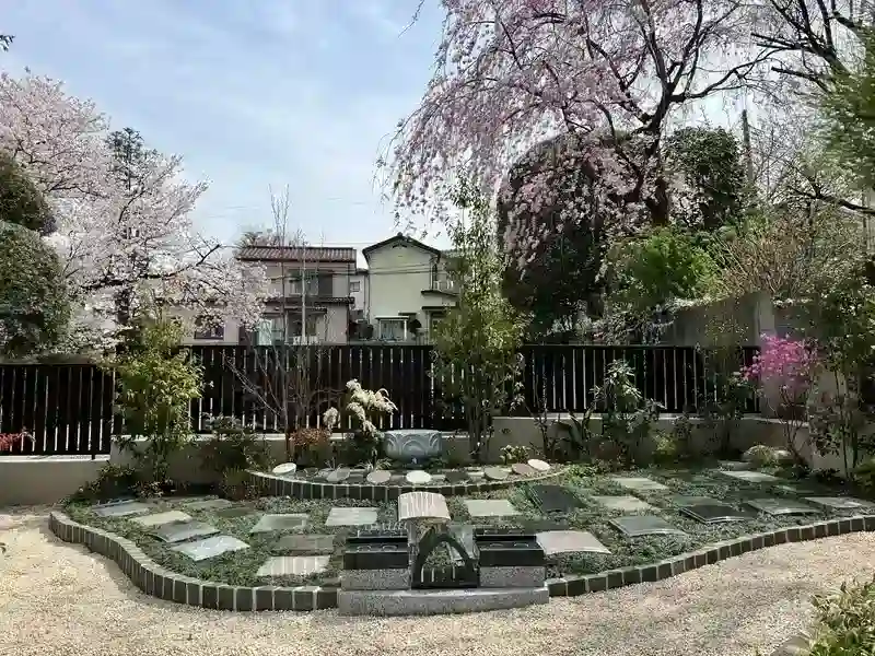 春は枝垂桜が特徴的
