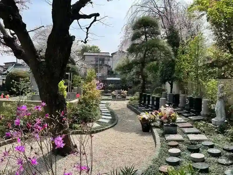 墓地全景