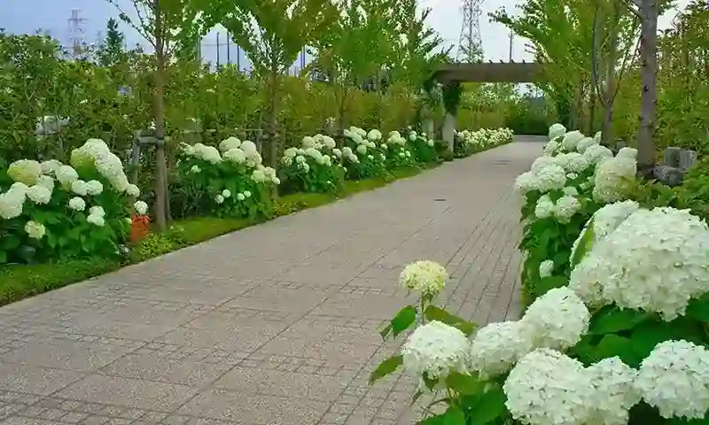 インターロッキング加工された参道