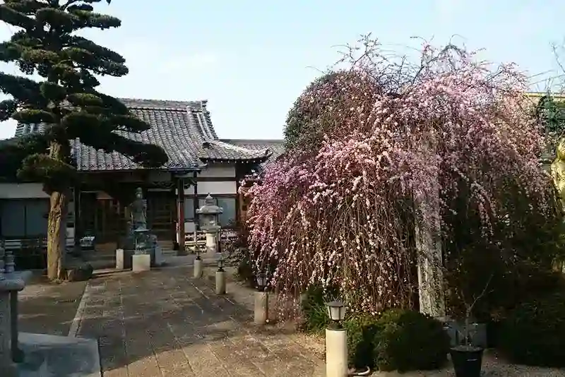 境内