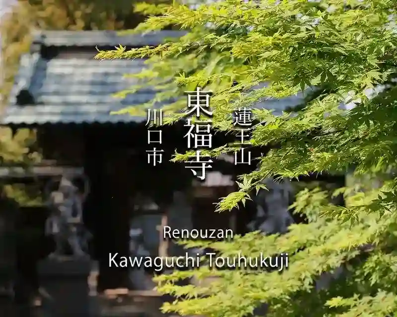 東福寺　蓮王山