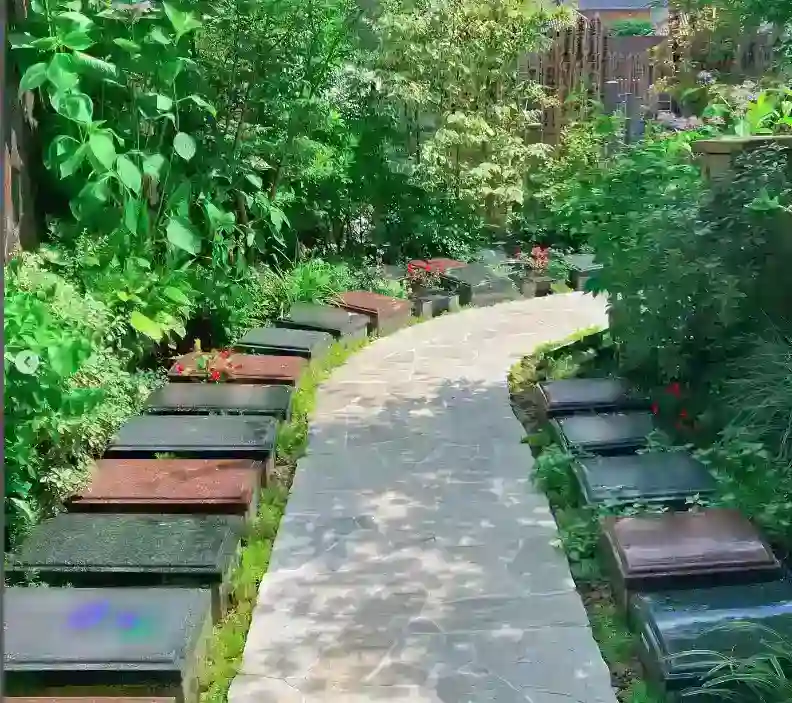 木漏れ日の美しい参道