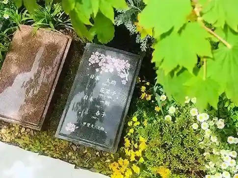 樹木葬