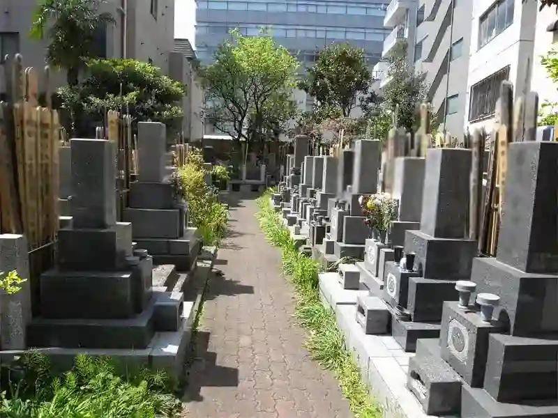 墓地寸景