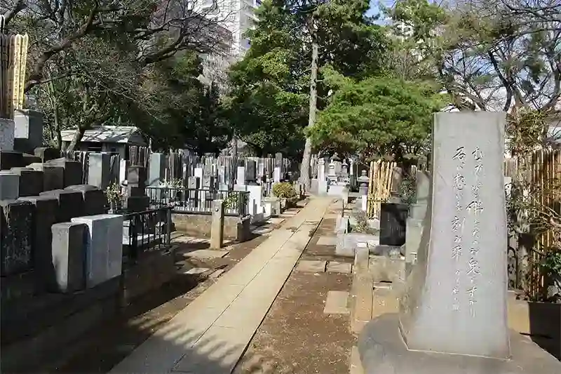 墓地寸景