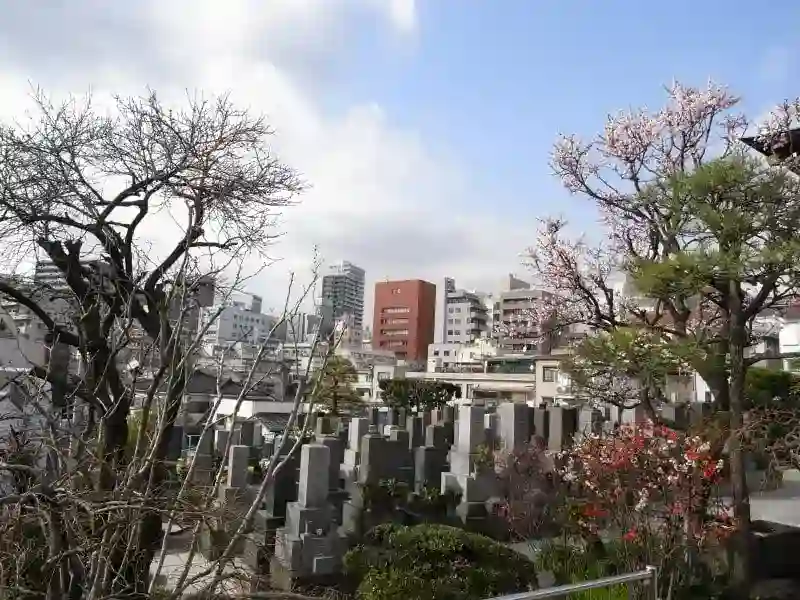 墓地寸景