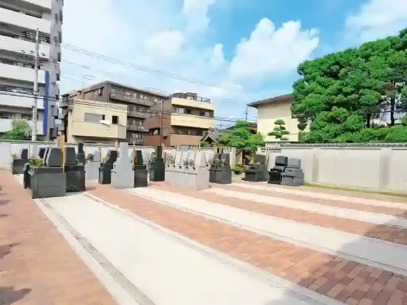 墓地全景