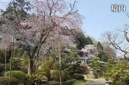 花木の彩る寺院