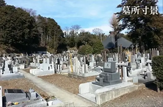 墓地