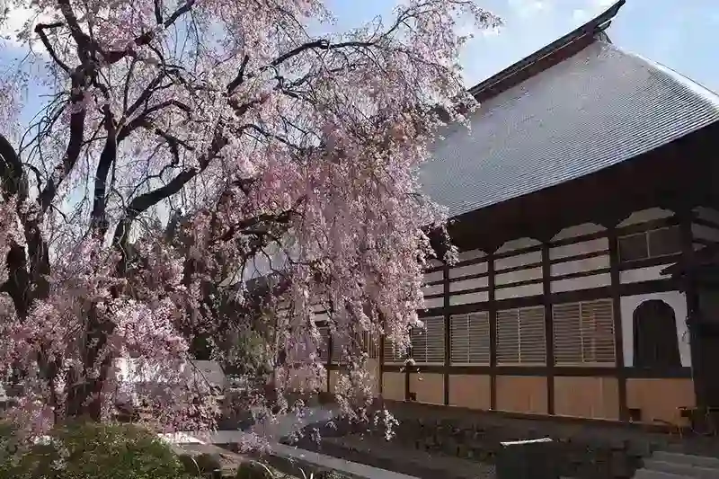 花のお寺 宝積寺