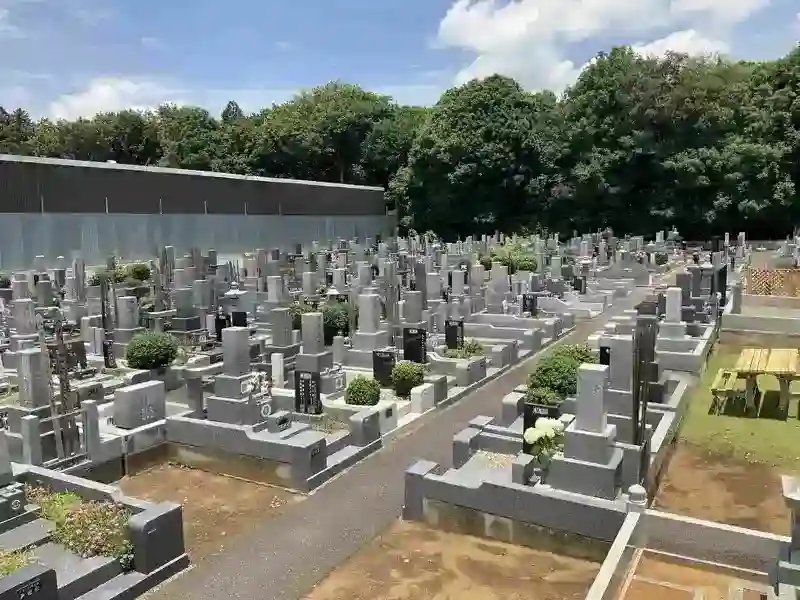 日当たりの良い園内