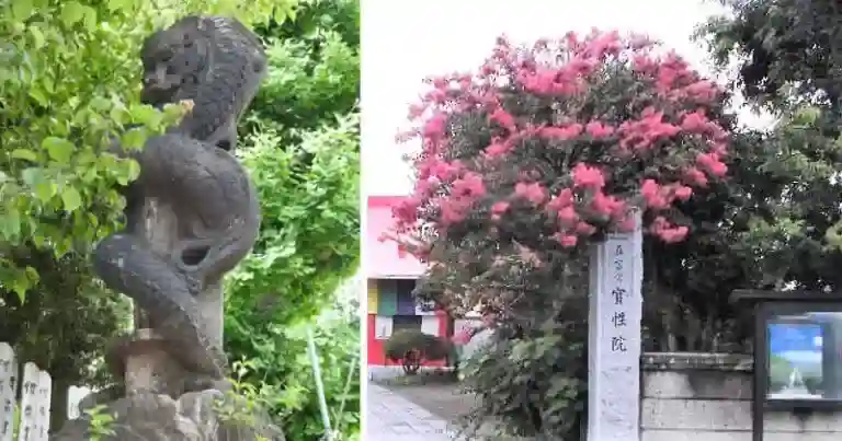 地元の方からは「へび寺」と親しまれています