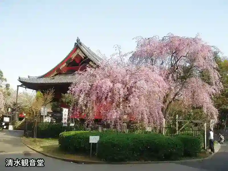 清水観音堂