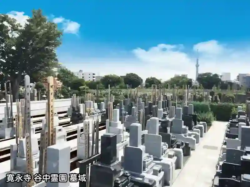 谷中霊園　墓地
