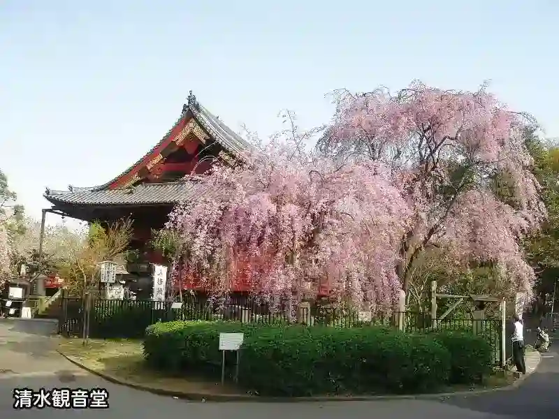 清水観音堂