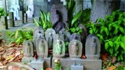 寸景②