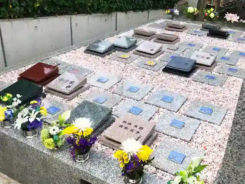 樹木葬①