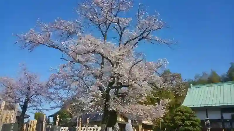 境内風景①