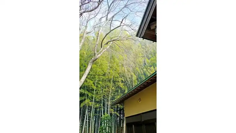 境内風景②