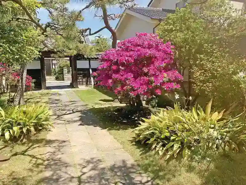 境内風景