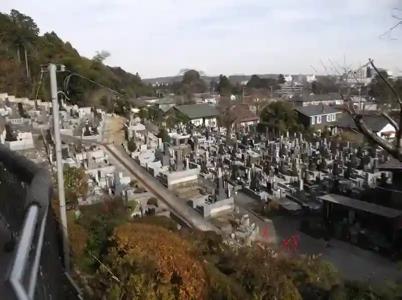墓地全景