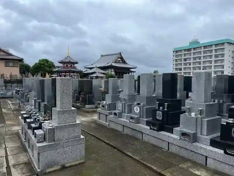 墓域①