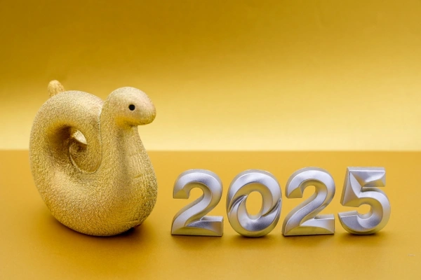 2025年へび年