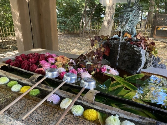 花と手水舎