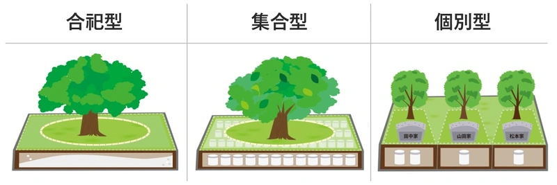 樹木葬の合祀型・集合型・個別型の埋葬方法比較断面図