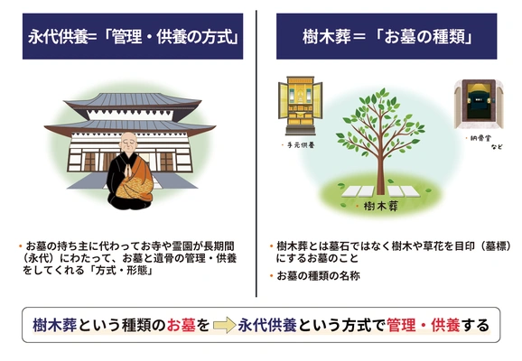 永代供養（管理方法）と樹木葬（お墓の種類）の関係性を示す図解