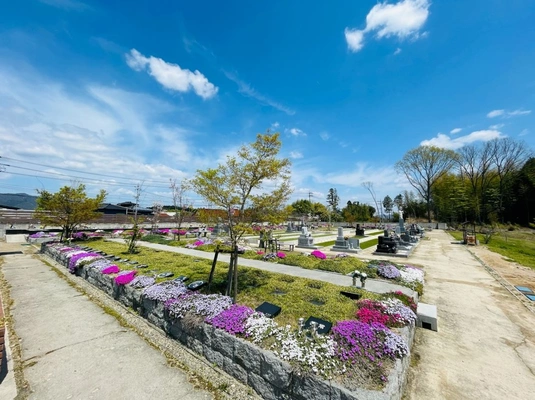 樹木葬霊園でシンボルツリーを墓標とした埋葬区画の風景