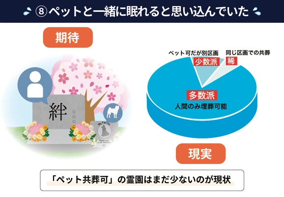 ペット共葬の期待と現実の違いを示した比較図解