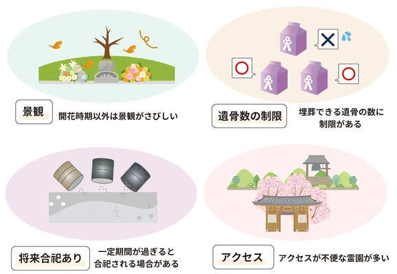 桜の樹木葬の4つのデメリット図解