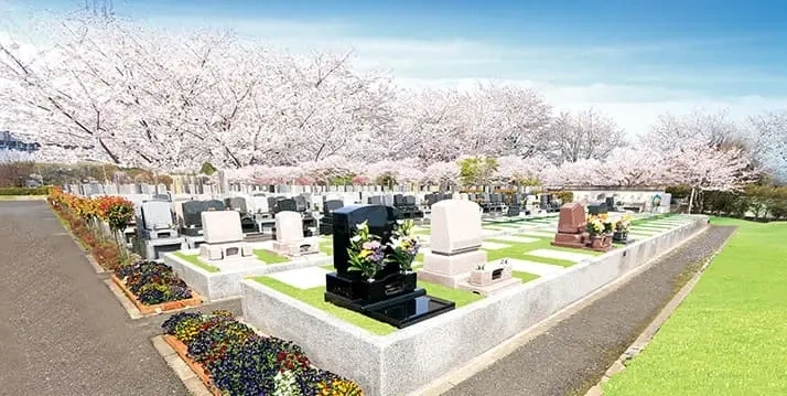 岩槻光輪浄苑の桜の樹木葬の風景