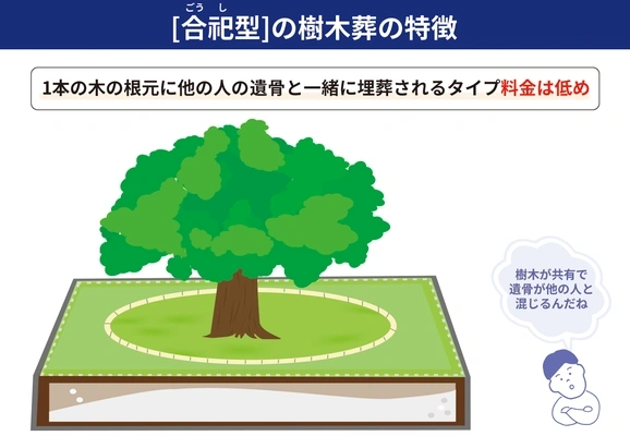 合祀型樹木葬の特徴を示す図解