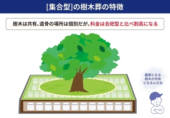 集合型樹木葬の特徴を示す図解