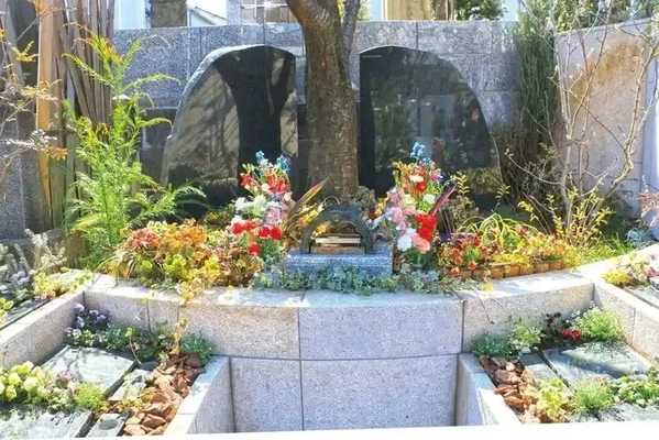 宗参寺 樹木葬『結いの桜』『優美の舞』