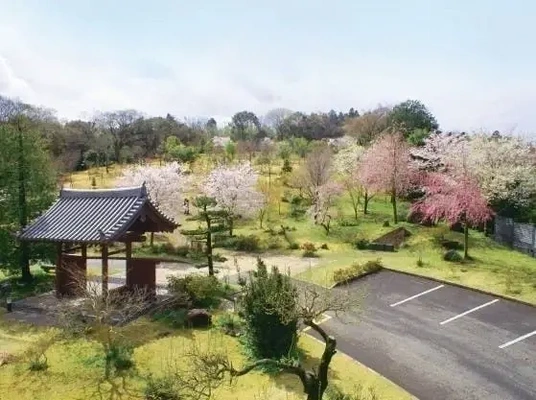樹木葬を行っている曹洞宗真光寺（千葉県袖ヶ浦市）の風景