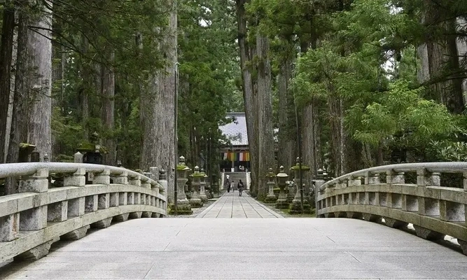 高野山 奥の院 樹木葬 「金剛瑜伽苑」の風景