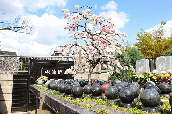 サニープレイス福寿園 樹木葬