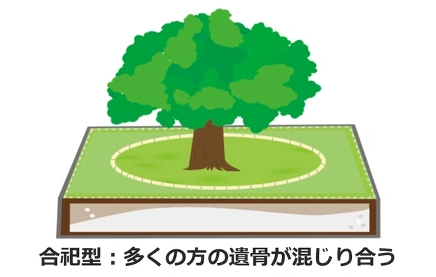 合祀型樹木葬の仕組みの図解