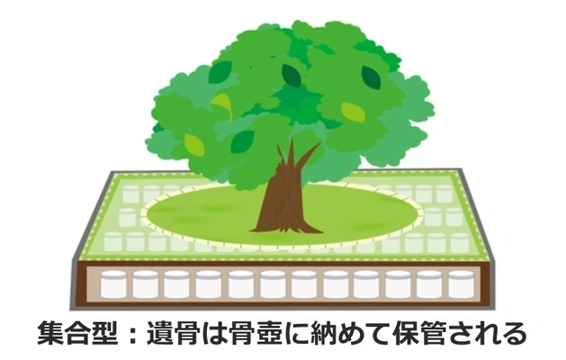 集合型樹木葬の仕組みの図解